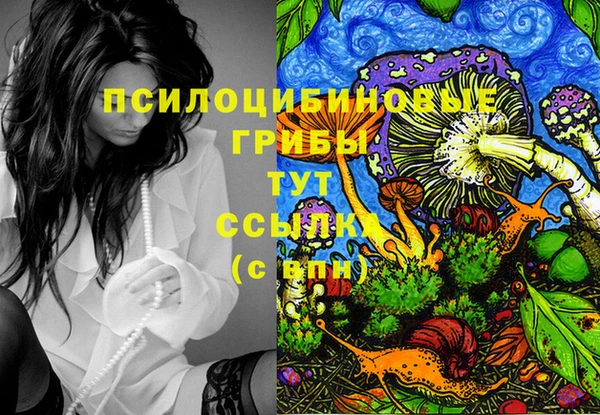 героин Няндома