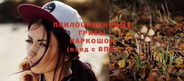 дурь Нязепетровск
