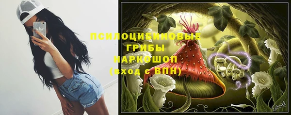 героин Няндома