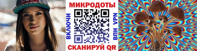 Купить закладки  Кедровый  Псилоцибиновые грибы мухоморы 